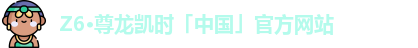 Z6·尊龙凯时
